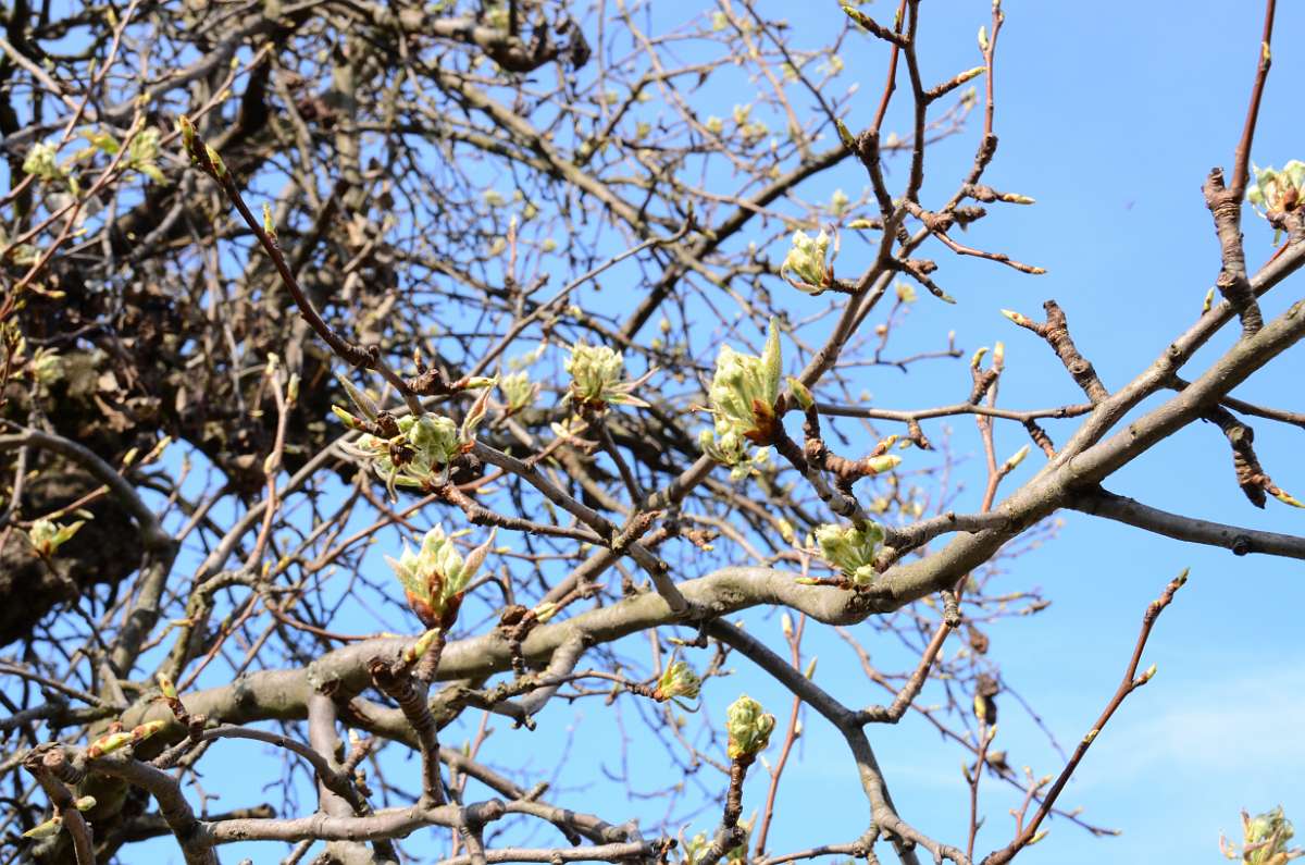 2014-03-22 14-43-50.JPG